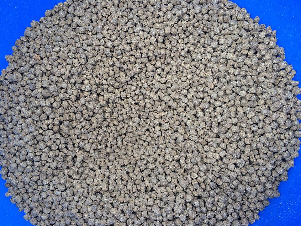 Fish Feed