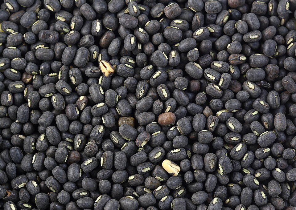 Mashkalai Dal